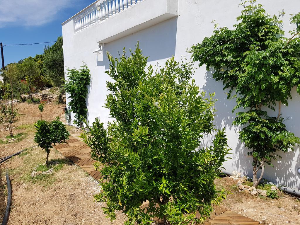 Villa Aphrodite Achlia Esterno foto